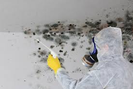 Best Airborne Mold Testing  in Sylvan Lake, MI